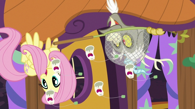 File:Fluttershy and Discord laugh at singing ginseng S7E12.png