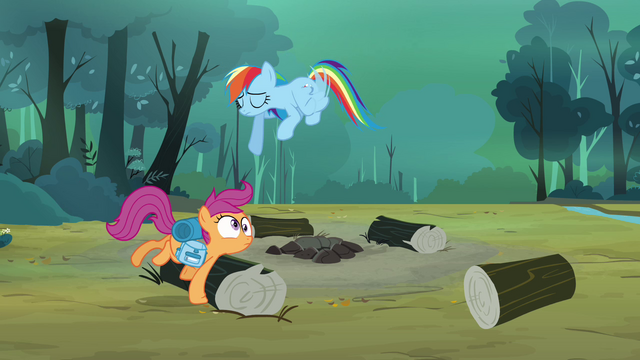 File:Scootaloo bumping into log S3E6.png