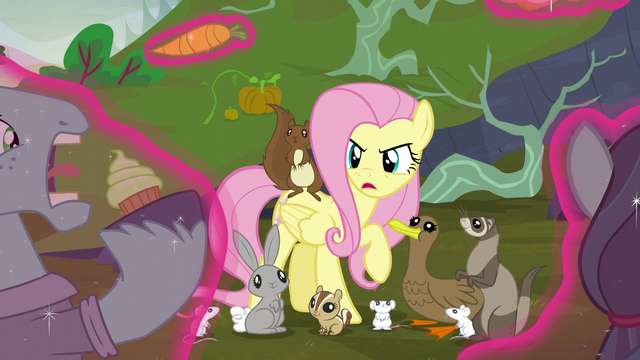 File:Fluttershy "it's time you both put your differences aside" S5E23.png