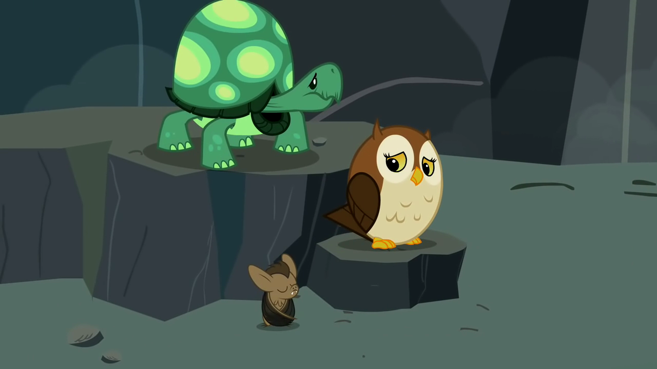 Image - Tank, bat and owl nervous S2E07.png  My Little 