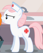 Nurse Redheart ID