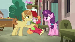 Hard to Say Anything | My Little Pony Friendship is Magic Wiki ... Hard to Say Anything | My Little Pony Friendship is Magic Wiki ...