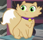 Unnamed Cat 7 ID S4E9