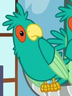 S4E14 Unnamed Parrot ID S5E3