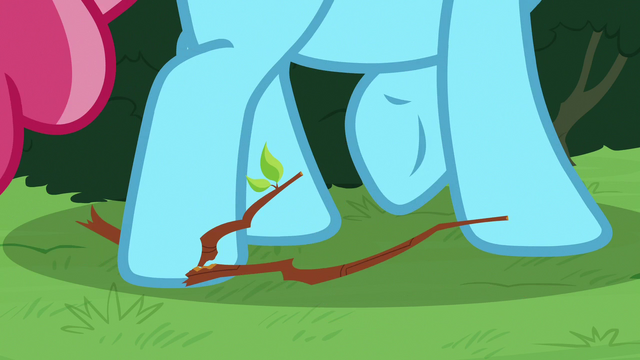 File:Chiffon Swirl steps on a twig S7E13.png