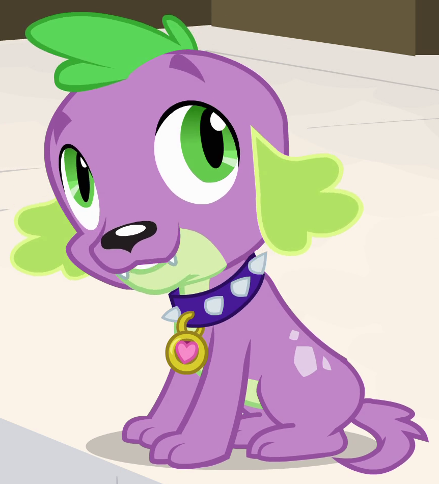 Spike My Little Pony Friendship Is Magic Wiki FANDOM Powered By