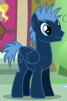 Star Hunter  My Little Pony Friendship is Magic Wiki 