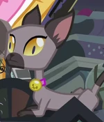 Unnamed Cat 8 ID S4E9