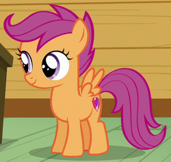 Scootaloo  My Little Pony Friendship is Magic Wiki 