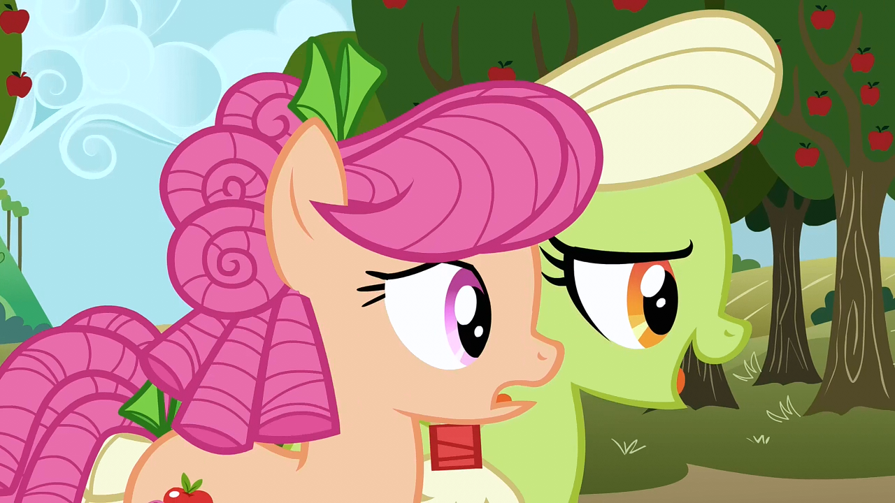 Image Granny Smith telling Apple Rose to speed up S3E08.png My Little Pony Friendship is