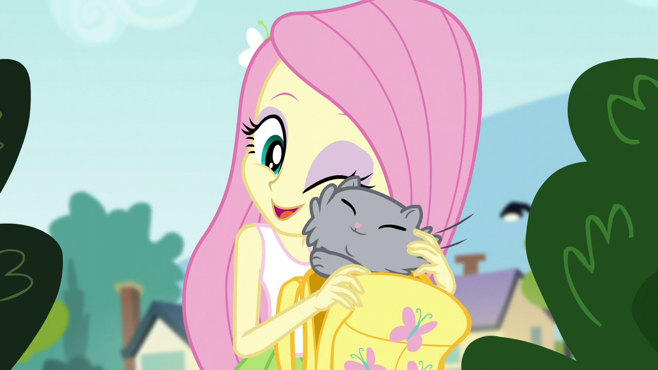 Image - Fluttershy nuzzling her pet cat EG3.png  My 