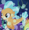 UFBH1 seapony form ID S8E6