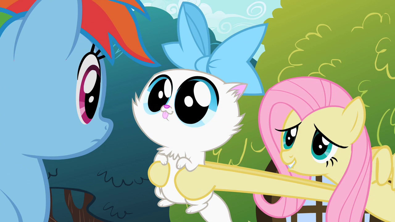 Animals My Little Pony Friendship Is Magic Wiki Fandom
