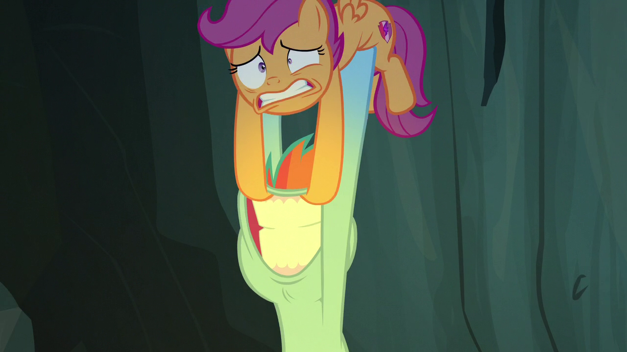 Image Rainbow Dash Pulling Scootaloo Off Of Her Head S7e16 Png My