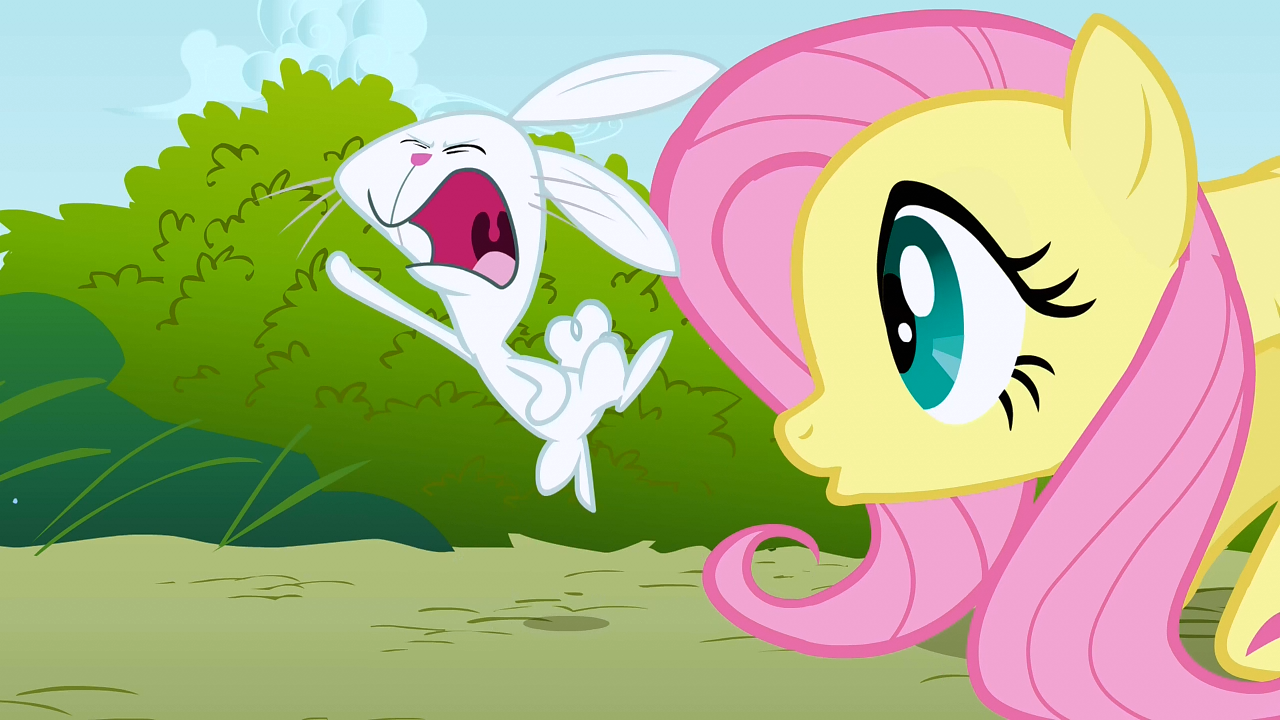 fluttershy my little pony friendship is magic wiki fandom