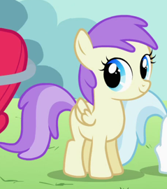Princess Erroria My Little Pony Friendship Is Magic Wiki Fandom