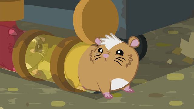 File:Hamster looking around EG2.png