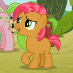 Babs Seed