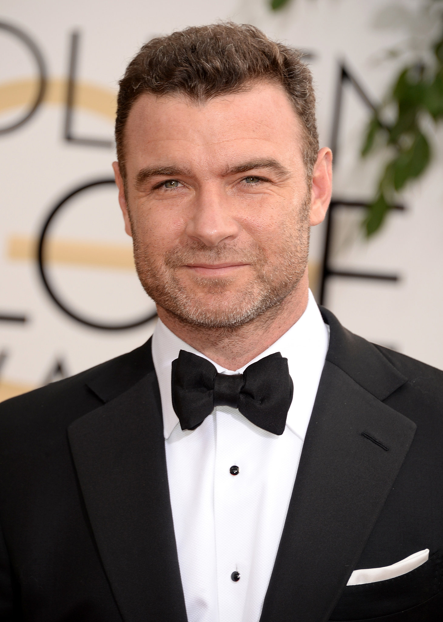 Liev Schreiber My Little Pony Friendship is Magic Wiki FANDOM