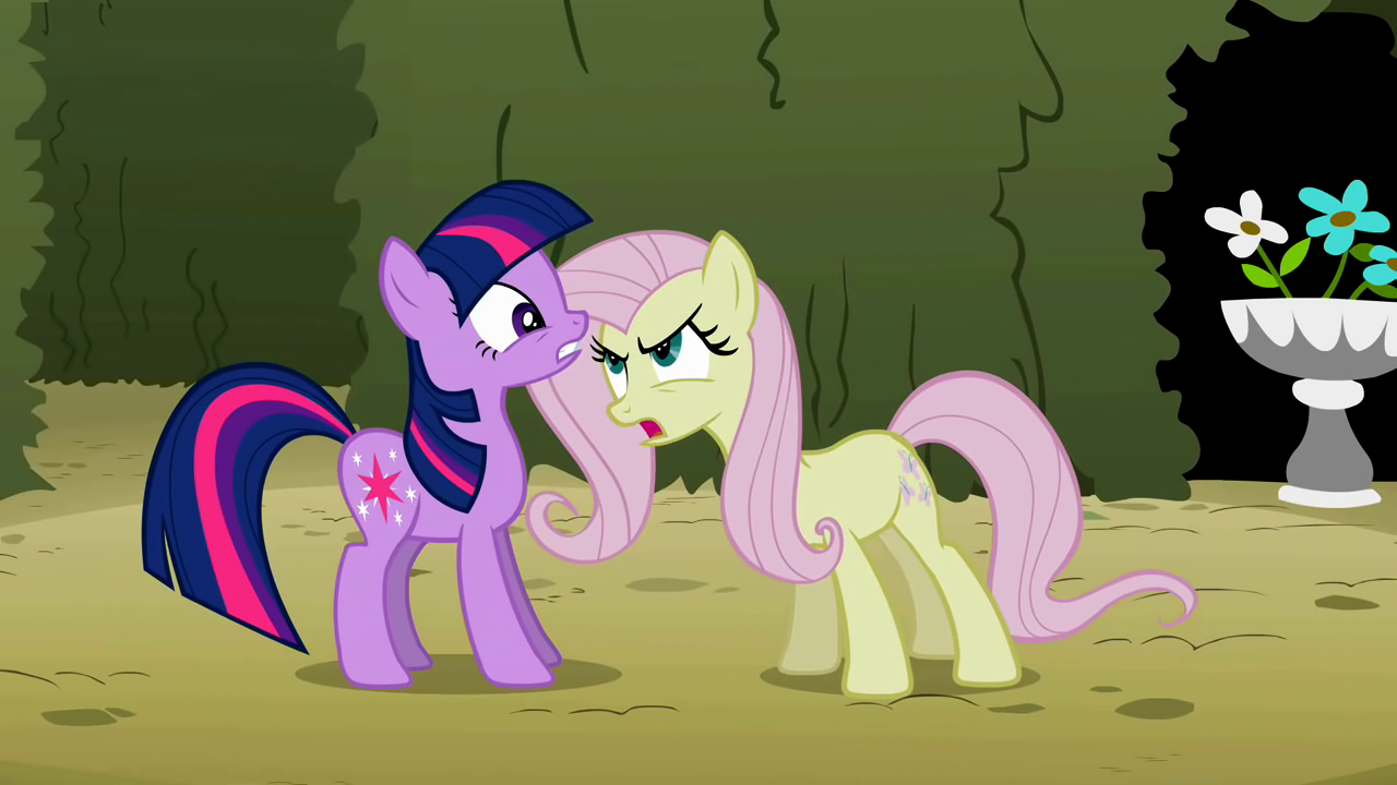Image - Fluttershy and Twilight laughing S01E17.png | My 