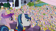 Princess Cadence and Shining Armor