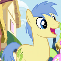 mlp slippers