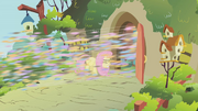 Swarm flying past Fluttershy S01E10