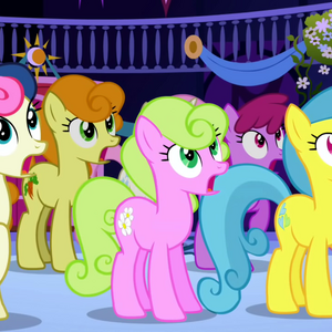 Daisy Gallery My Little Pony Friendship Is Magic Wiki Fandom