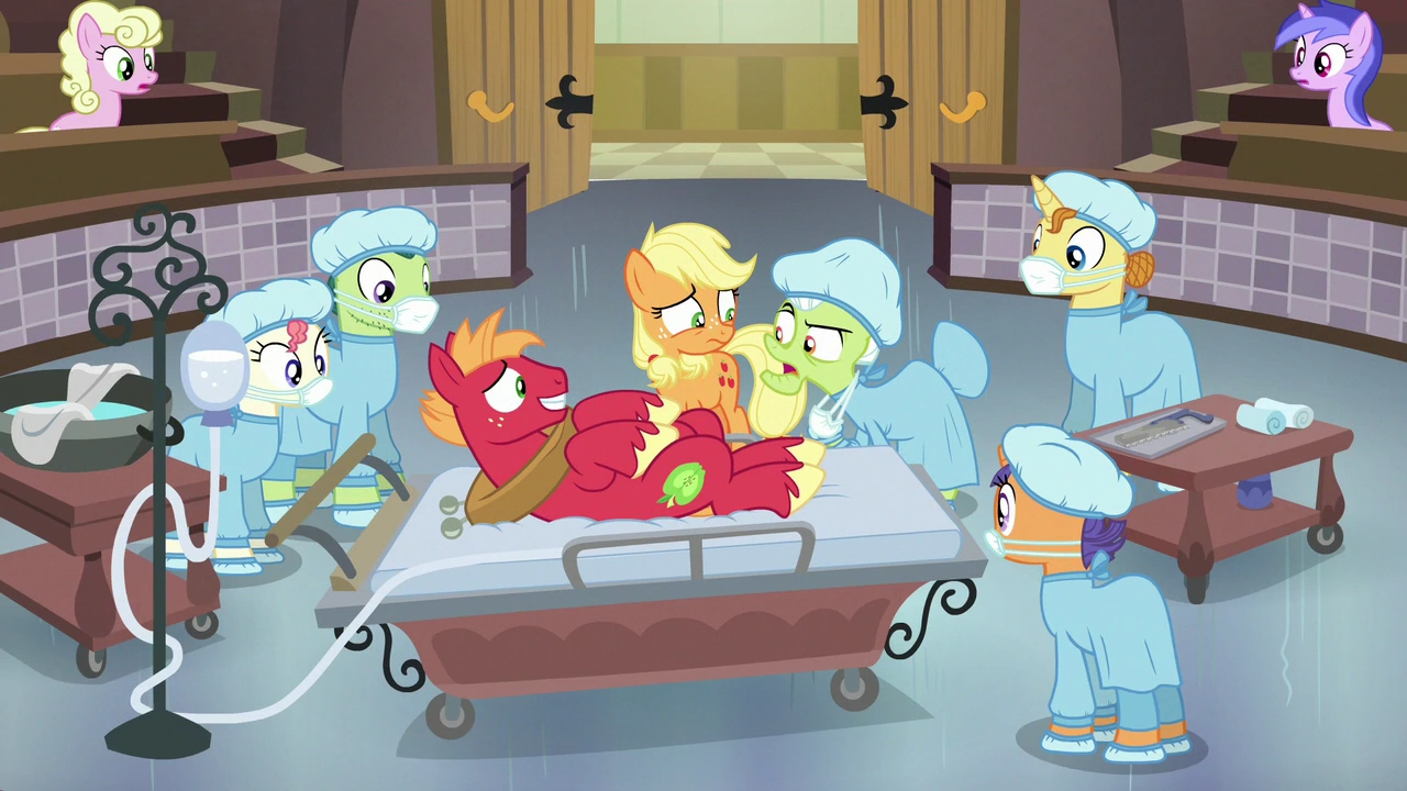 Image Granny Smith surprised to see Big McIntosh S6E23.png My
