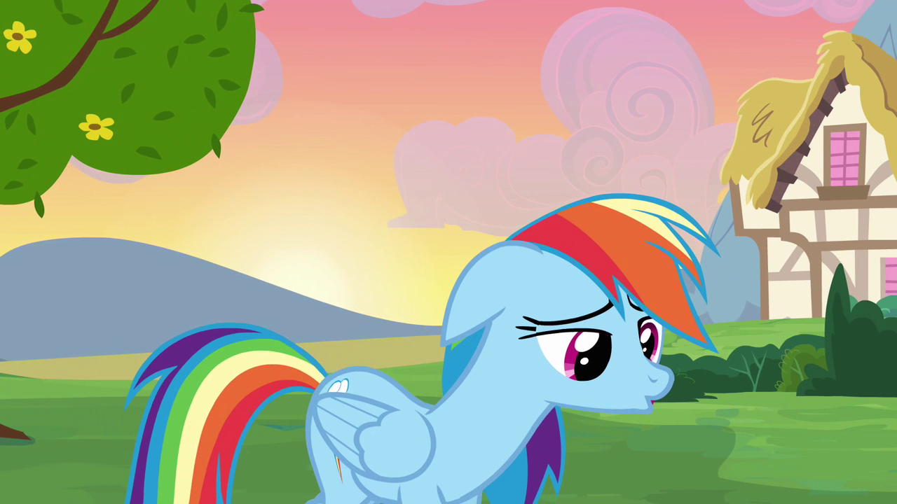 image rainbow dash sad s2e16 png my little pony friendship is