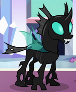 Thorax ID S6E16