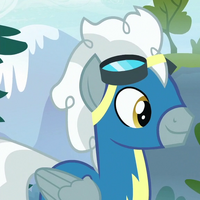 Silver Zoom My Little Pony Friendship Is Magic Wiki Fandom