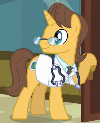 Doctor Horse My Little Pony Friendship Is Magic Wiki Fandom