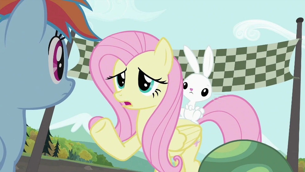 Image - Fluttershy talking to Rainbow Dash S2E07.png | My ...