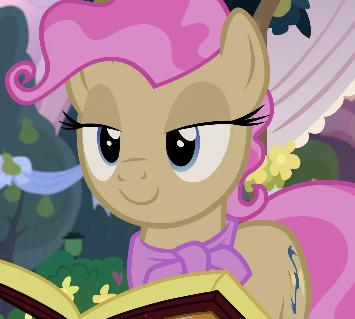 Mayor Mare  My Little Pony Friendship is Magic Wiki 