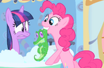 Gummy im Bad mit Twilight