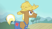 Trenderhoof wants to live on a farm S4E13