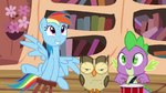 Rainbow, Owlowiscious and Spike playing around S4E21