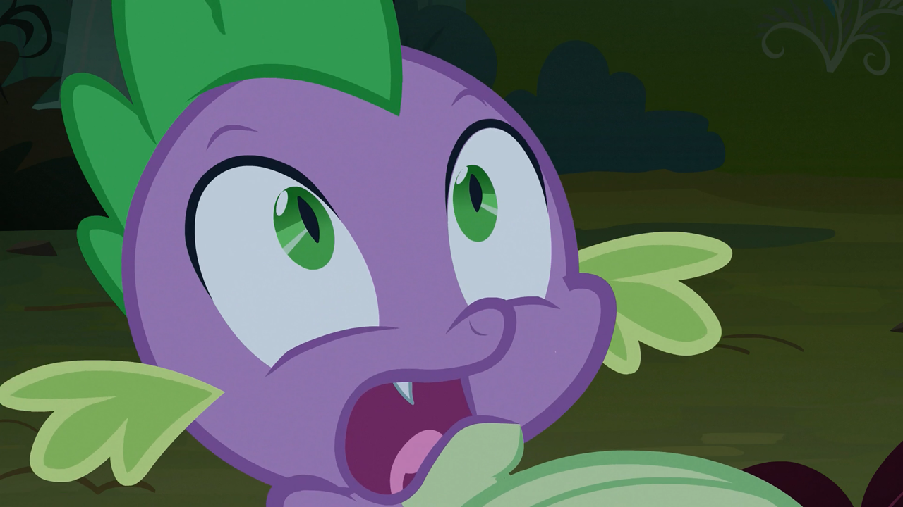 size of spike mlp