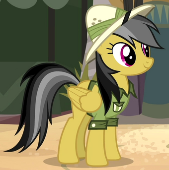 Daring Do My Little Pony Friendship Is Magic Wiki Fandom