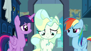Rainbow Dash --a way to help both of you-- S6E24