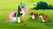 Fluttershy com seu modelito T03E05
