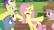 Fluttershy furious -I don't love it!- S7E5