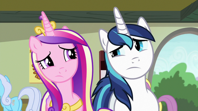 File:Cadance and Shining Armor looking confused S7E3.png