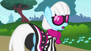 300px-Photo Finish turns down Rarity S1E20