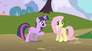 592px-Twilight and Fluttershy1 S1E01