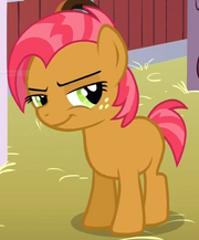 Babs seed...