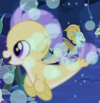 UMBH4 seapony form ID S8E6