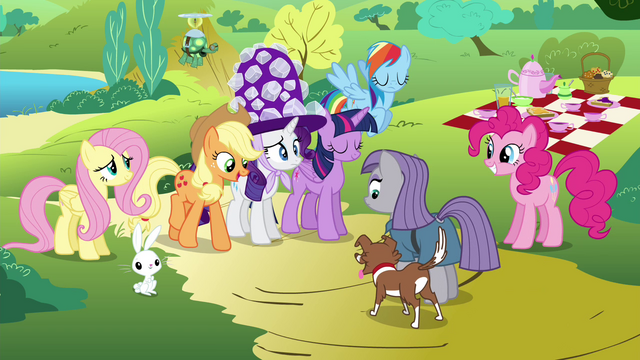 Image - Applejack introduces Winona to Maud S4E18.png | My Little Pony ...