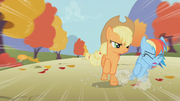 Applejack bate em Rainbow Dash T01E13